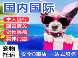 上海浦东空运公司国际宠物托运 【国